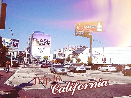 Trip to California Califo10