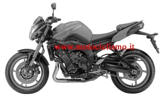 YAMAHA, FZ8 2010 110