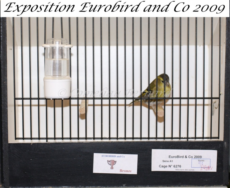 Notre exposition EUROBIRD AND CO du 12 au 13 décembre 2009 - Page 2 Img_6914