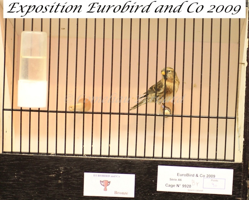 Notre exposition EUROBIRD AND CO du 12 au 13 décembre 2009 - Page 2 Img_6923