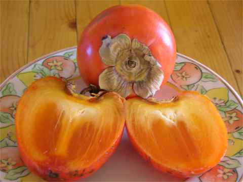 fruits exotiques Kaki110