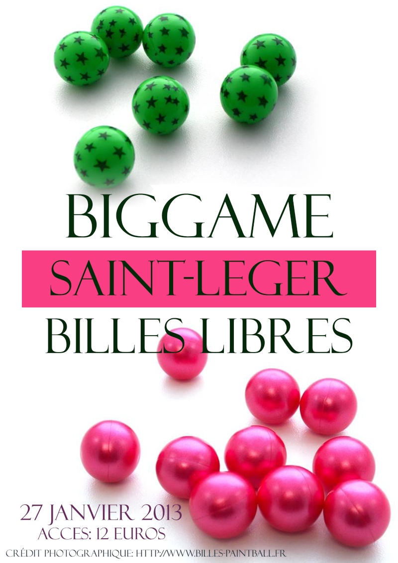 biggame billes libre 27/01/2013 Biggam10