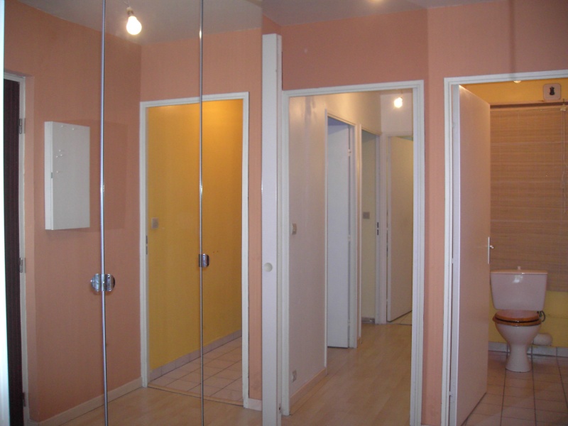 [Conseil Brico] Modification entrée + toilettes Pict0910