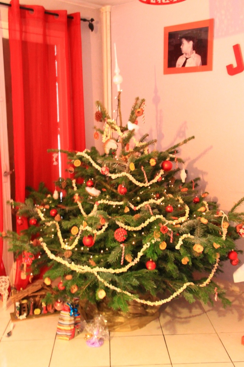 nos sapins 2012 Img_8410