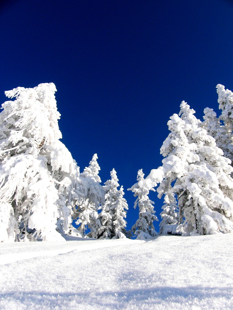 Neige et ski à l'étranger 41856810