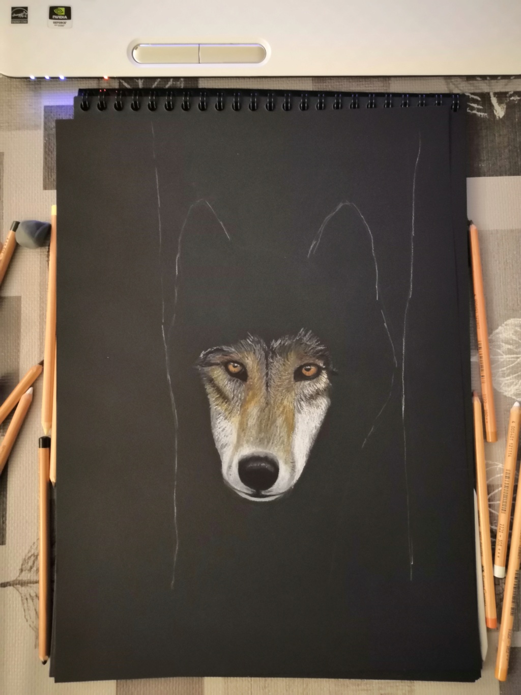 Portrait d'un Loup (pastel) mô Img_2015