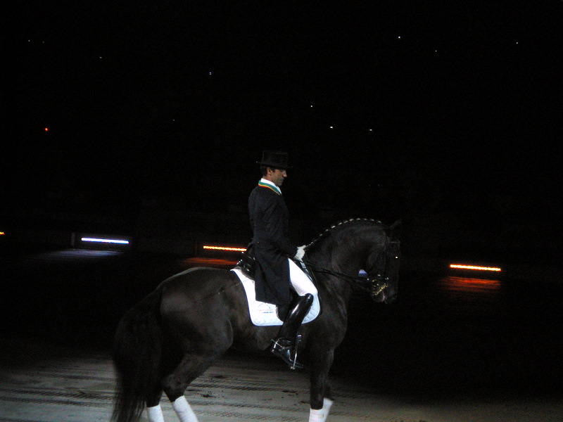 [13/17 Janvier] Cheval Passion Avignon 2010 Imgp0411