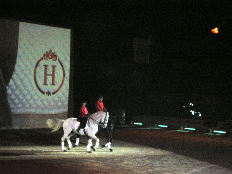 [13/17 Janvier] Cheval Passion Avignon 2010 Imgp0420