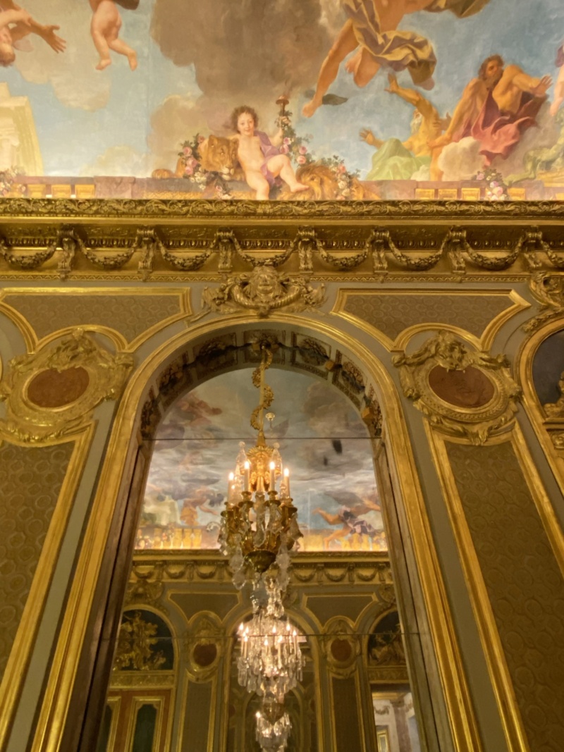 Les décors de la Chancellerie d'Orléans à l’hôtel de Rohan - Page 3 55d49510