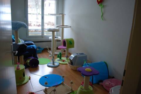 Articles Pour Parc A Chaton Ou Nurserie Page 5 Articles Pour Parc A Chaton Ou Nurserie Page 5