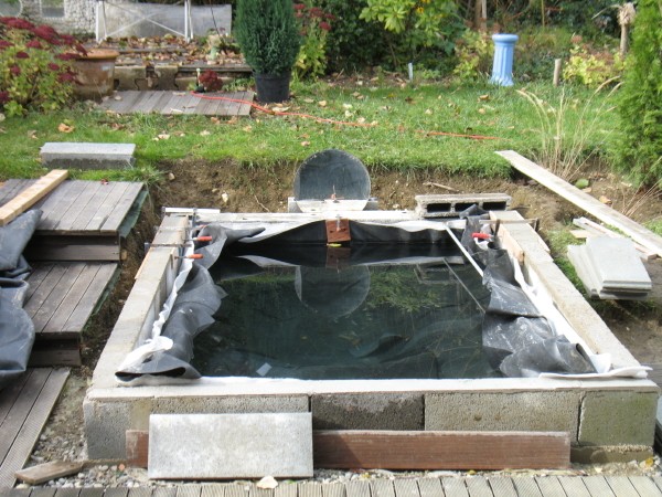 Bassin semi-enterré d'après une étude d'Alain Bassin23