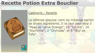 Potion Extra Bouclier Recett11