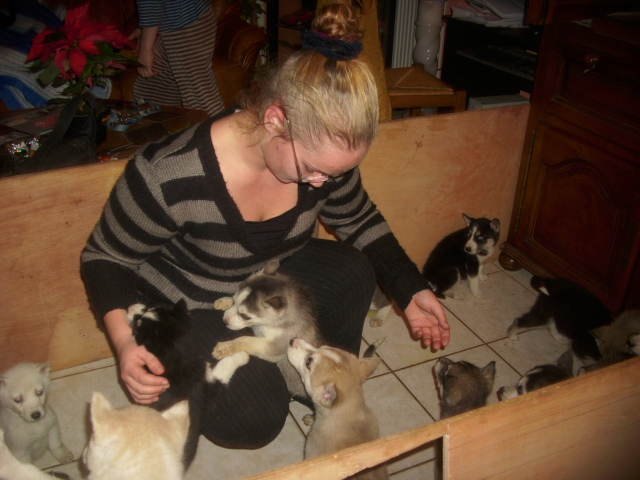 Urgence pour un sauvetage de 17 chiots TERMINE Manon_10