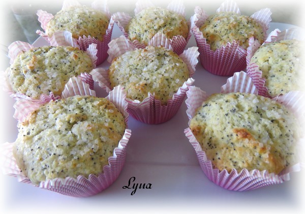 Muffins citron, orange et graines de pavot Muffin10