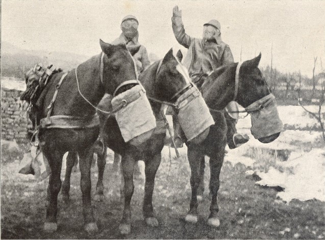 1915 - Les Masques à Gaz Decaux n°2 pour chevaux Masque10