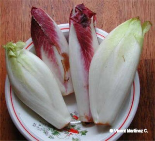 L' Endive Endivi10