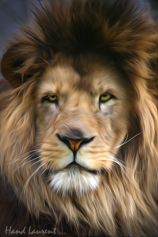 Le roi lion  (+ avant - apres ...) Zoo_am12