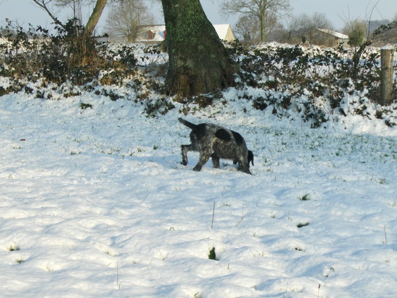 Eddy dans son jardin d'hiver Photo_12