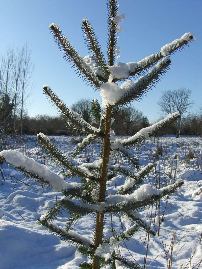 Eddy dans son jardin d'hiver Photo_15