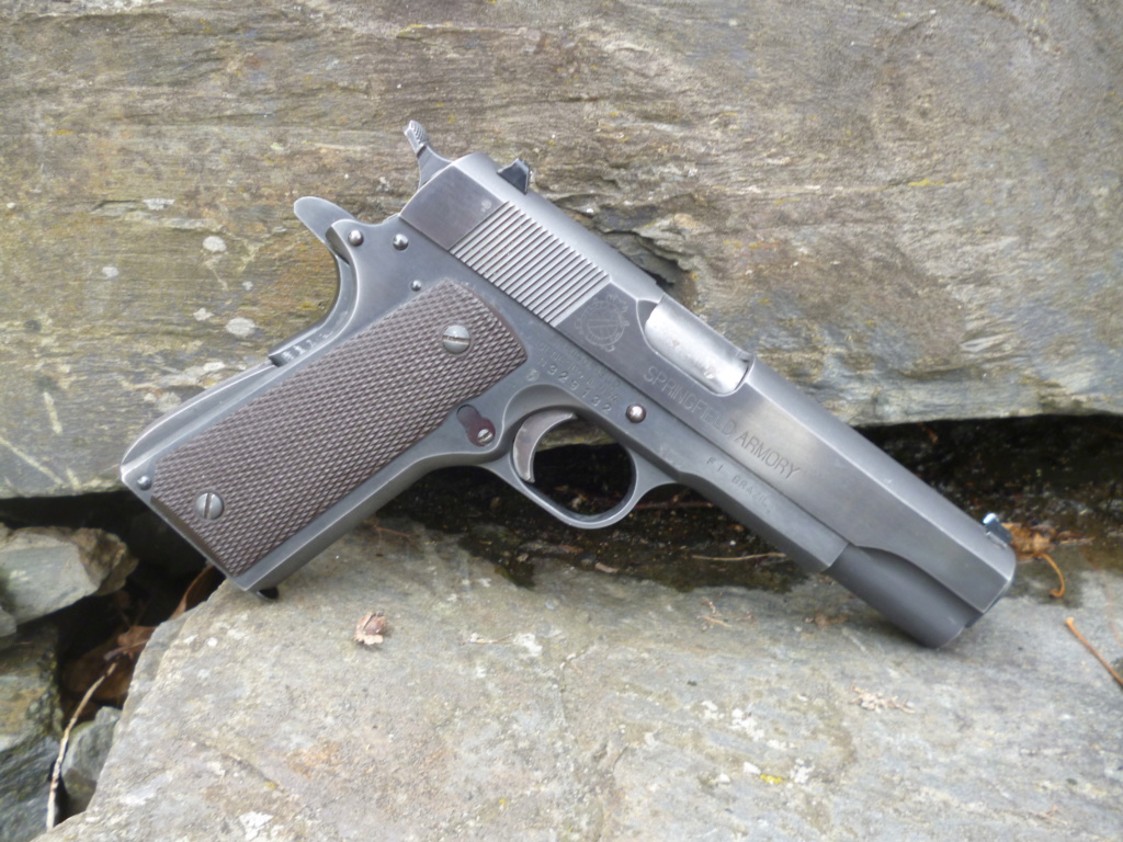Pistolet BUL 1911 Duo Tone Government 5" calibre 9x19 P1030413