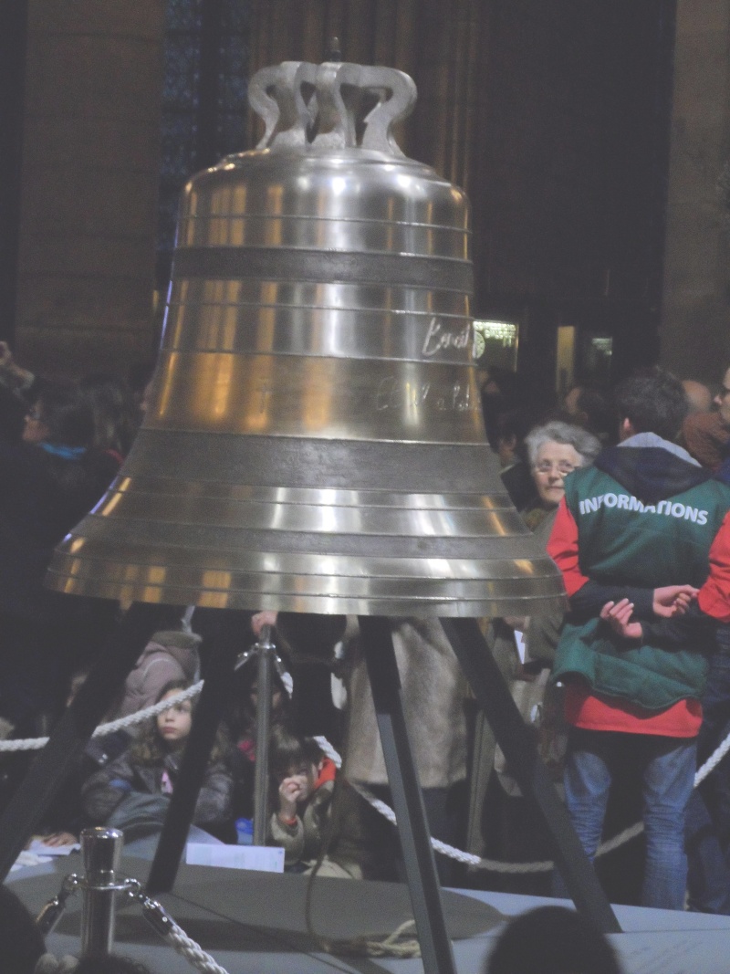 Les cloches de Notre dame Sam_1616