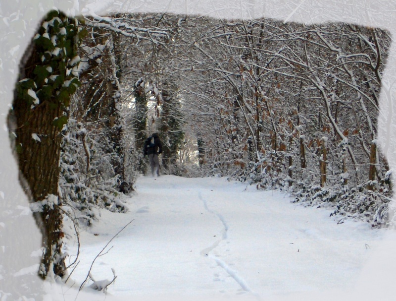 pourvu que la neige ne s'arrete pas de tomber! Hpim4524