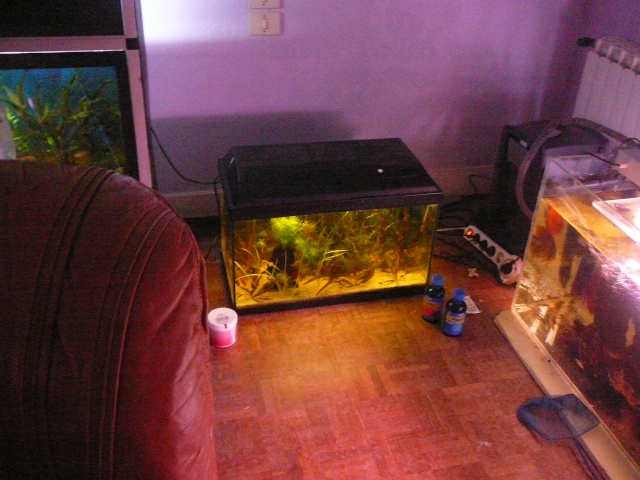 Ma fish room P1100721