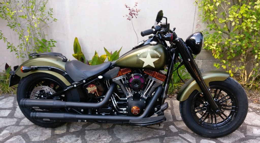 Au revoir Softail Slim S Imag1522