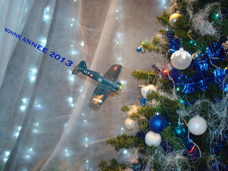 BONNE ANNEE 2013 Dsc07610