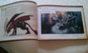 [Estim] Artbooks Monster Hunter et Amano Imag0218