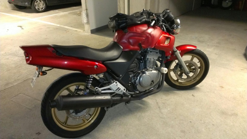 [HONDA] CB 500 Rouge / Or 74023010