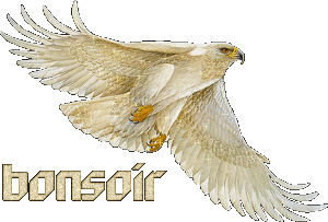 C\'est ici qu\'on se présente et qu\'on discute - Tome 19 Bonsoi13