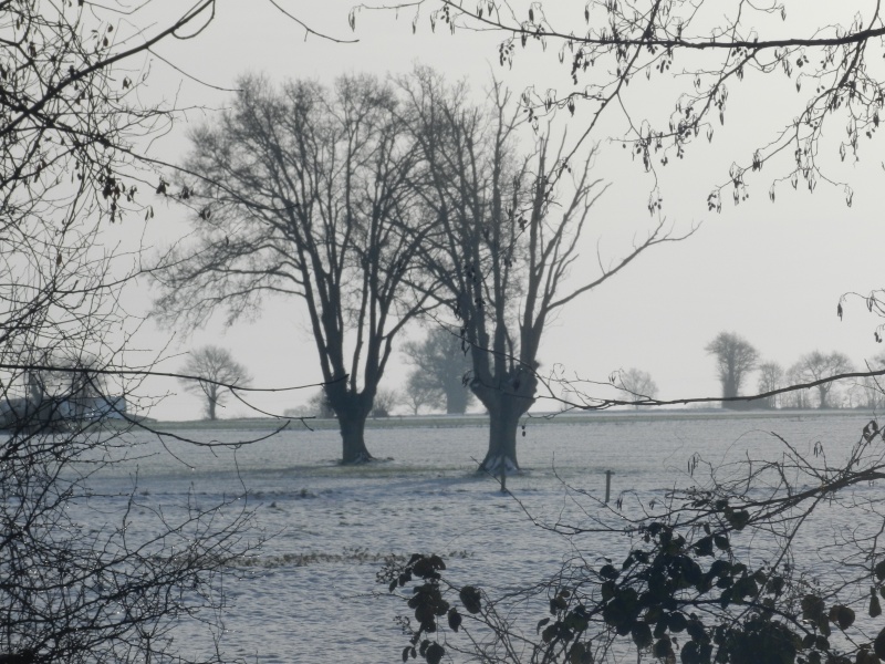 neige ludique en Mayenne (26 janvier 2013) Vauvar21