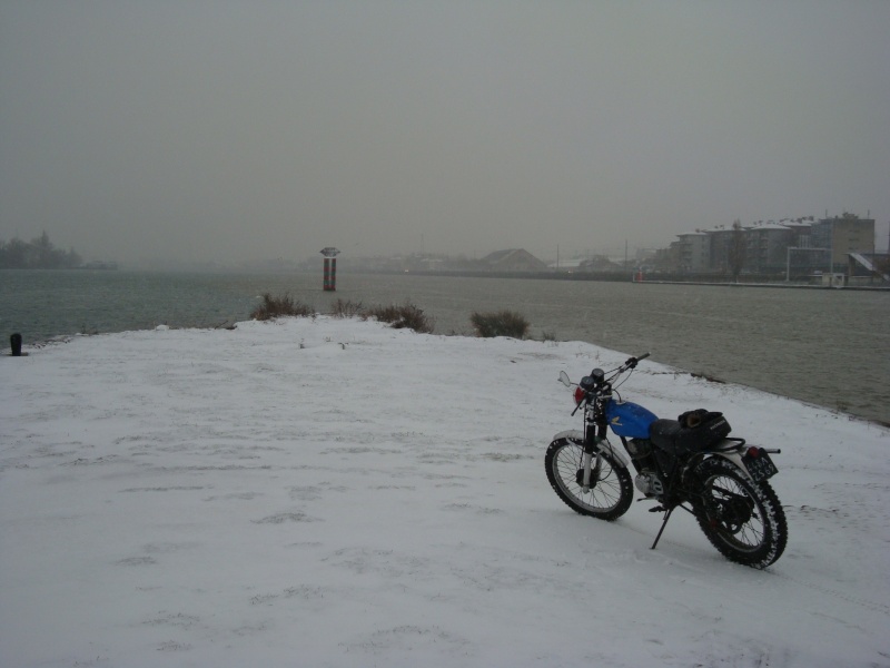 concours photo (janv 2010)votre timono et la neige Dsc02310