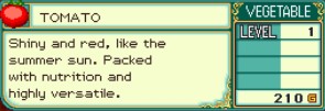 Rune Factory : Les plantes Tomato10