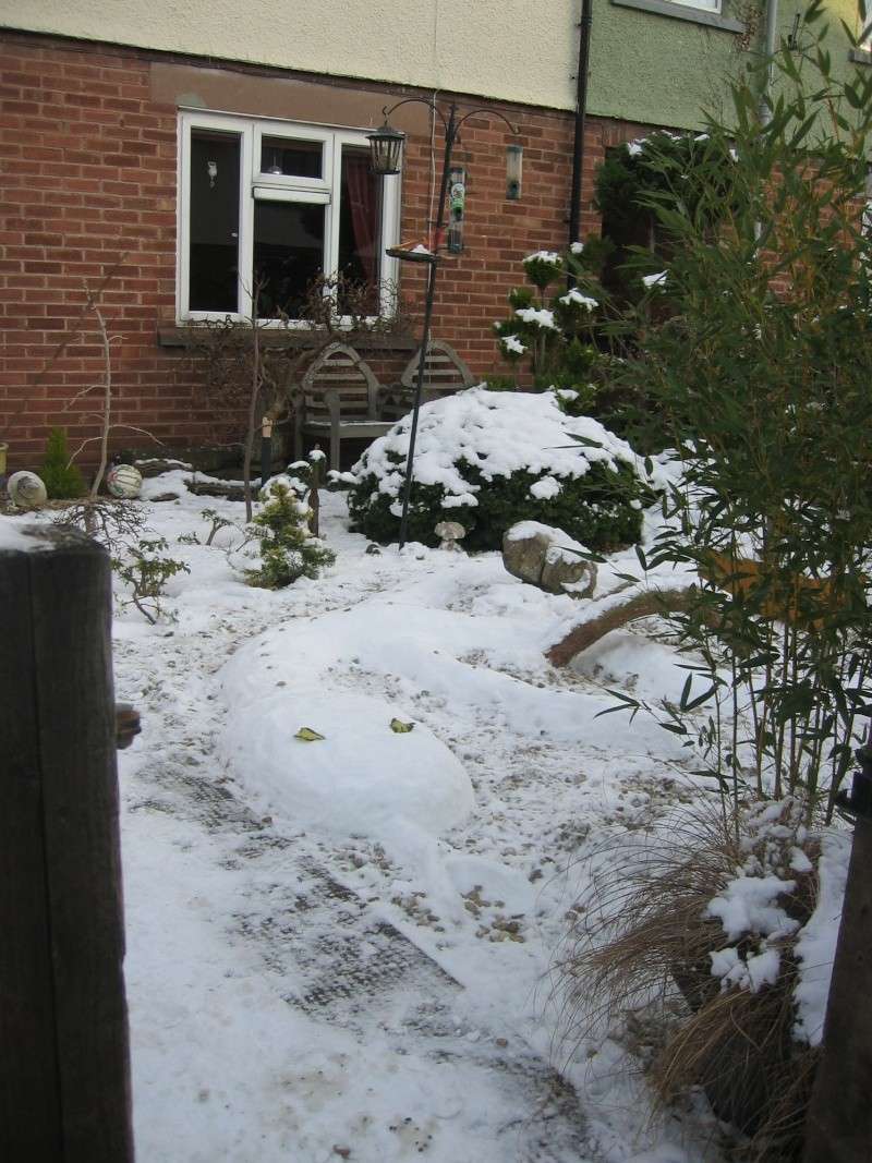 Snow sculptures 03411