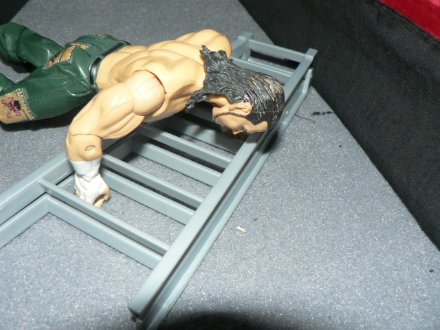 .:: WWF ::. World Wrestling Figure P1270853