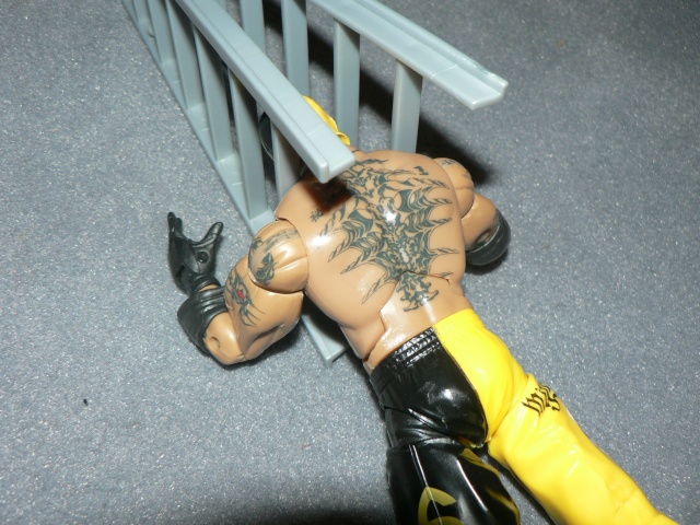 .:: WWF ::. World Wrestling Figure - Page 2 P1280128