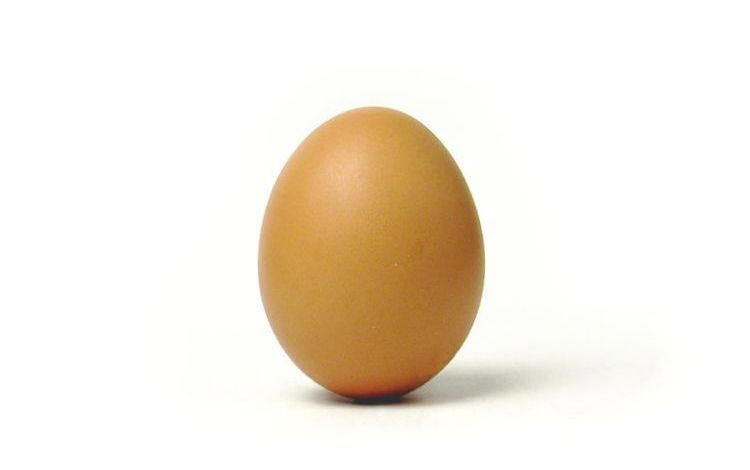 Mi presento sono n'uovo 12303110