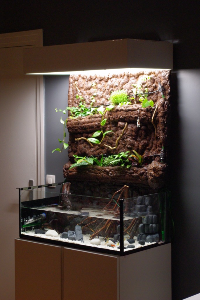 Construction évolution aquaterrarium 1510