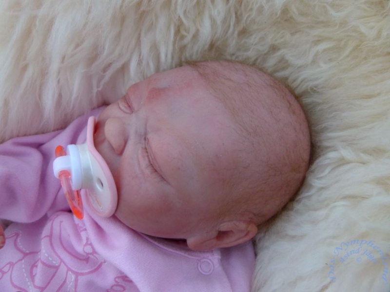 Das letzte Baby in diesem Jahr wurde nun auch geboren: Fiona P1030637
