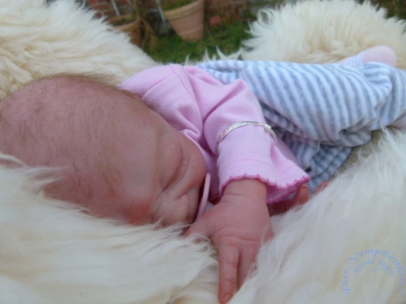 Das letzte Baby in diesem Jahr wurde nun auch geboren: Fiona P1030641