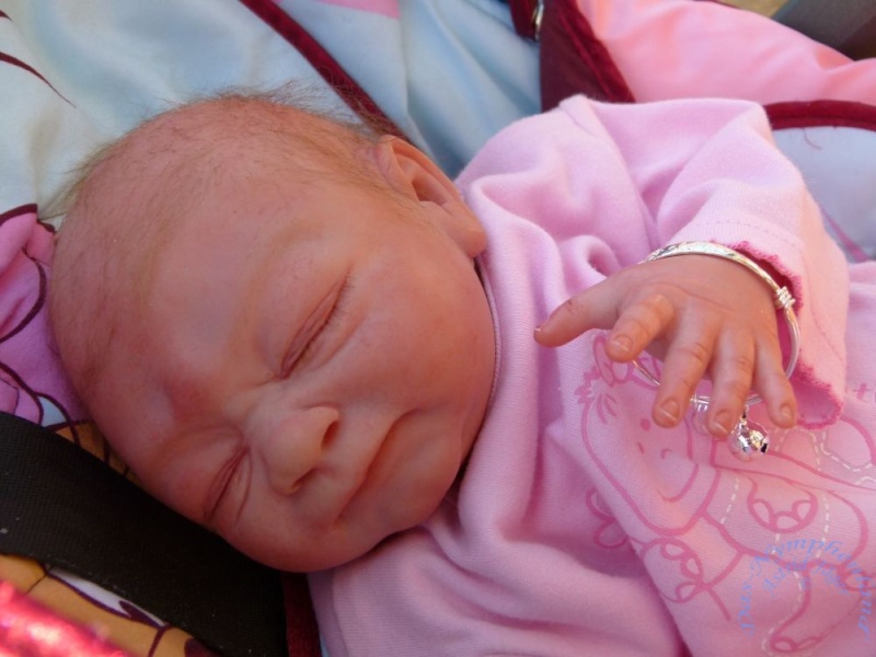 Das letzte Baby in diesem Jahr wurde nun auch geboren: Fiona P1030643
