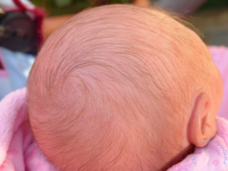 Das letzte Baby in diesem Jahr wurde nun auch geboren: Fiona P1030646