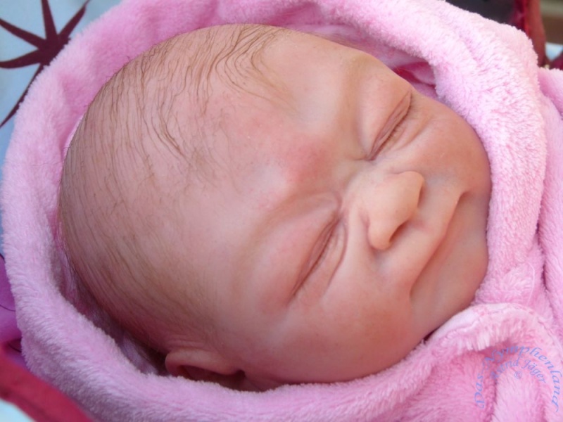 Das letzte Baby in diesem Jahr wurde nun auch geboren: Fiona P1030647