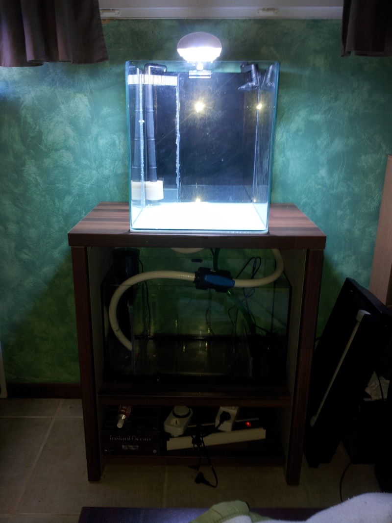 Nano 60l + decante 20121212