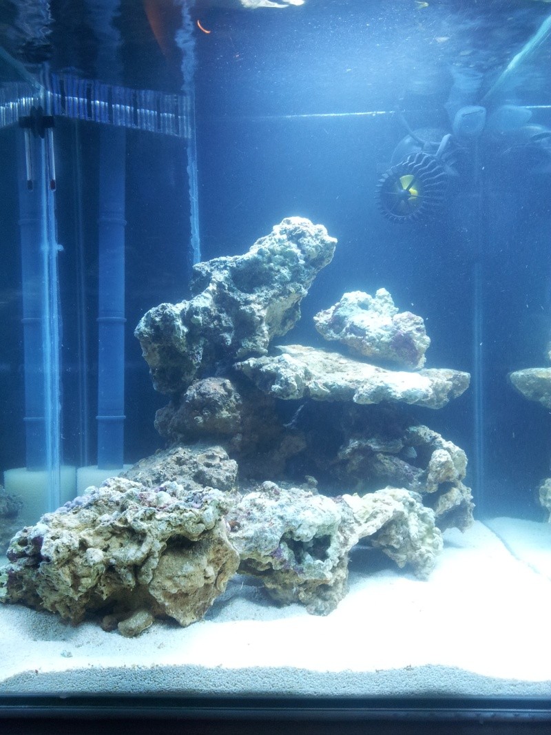 Nano 60l + decante 20121214