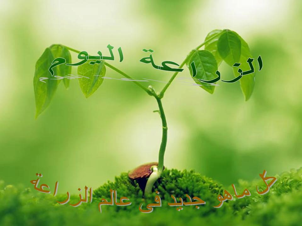  منتدى الهندسة الزراعية 22959310