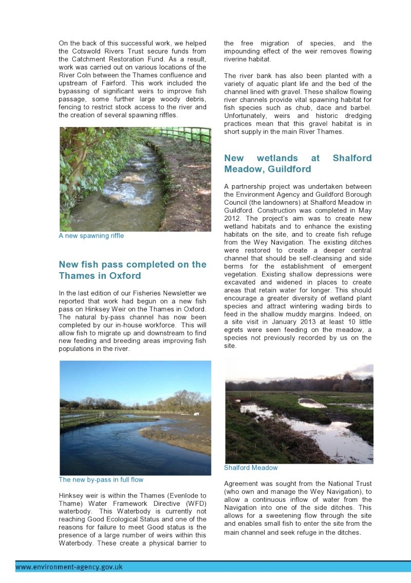 Ea West Thames Newsletter Jan 2013 Page0011