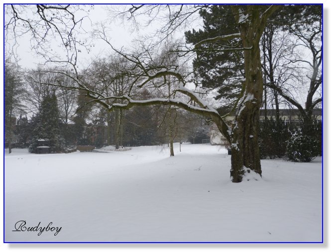 La neige au parc Hiver210